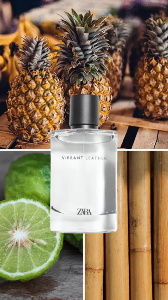 Best Creed Aventus Dupes Zara Vibrant Leather – The Best Budget-Friendly Aventus Dupe with Fresh, Citrusy, and Woody Notes