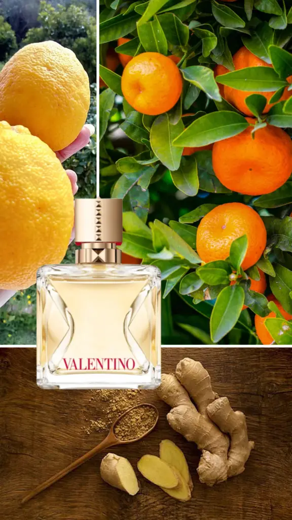 Top 3 Valentino Fragrances Valentino Voce Viva Eau de Parfum bottle with elegant design, symbolizing bold femininity and modern luxury.