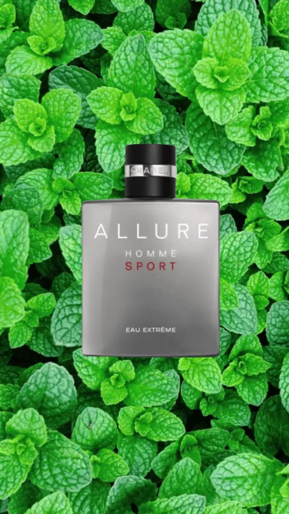 A stylish bottle of Chanel Allure Homme Sport Eau Extrême, with a sleek matte gray finish and bold white lettering, embodying an energetic and masculine fragrance.