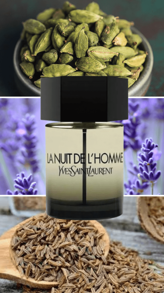 Best Yves Saint Laurent men's perfumes Yves Saint Laurent La Nuit de L’Homme men's perfume bottle with a sleek black cap, featuring warm cardamom, lavender, and cedarwood notes.