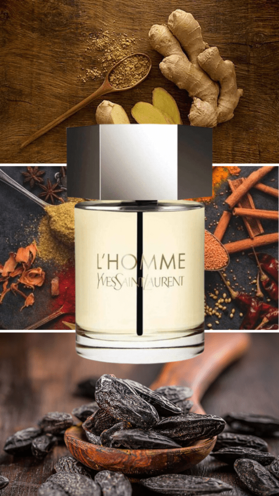Best Yves Saint Laurent men's perfumes Yves Saint Laurent L’Homme men’s cologne in a sleek glass bottle with a silver cap, featuring fresh bergamot, ginger, and vetiver notes.