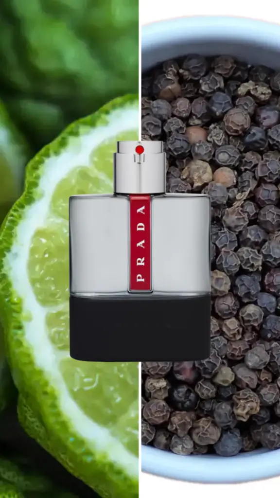 Bleu de Chanel vs Prada Luna Rossa Carbon Prada Luna Rossa Carbon bottle – modern men's fragrance with fresh, metallic, and ambroxan notes.