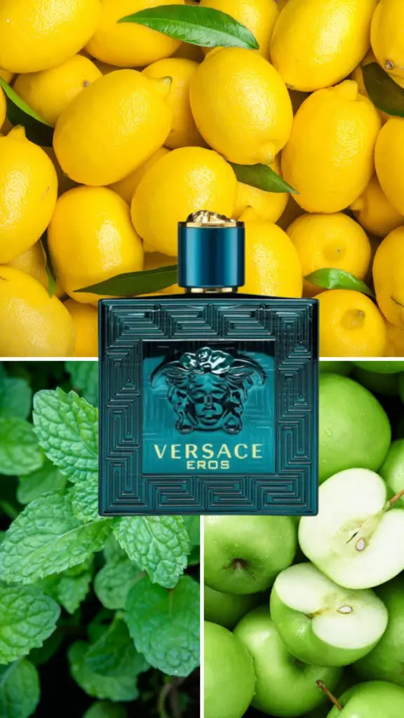 Versace Eros cologne – Versace Eros vs Jean Paul Gaultier Le Male comparison