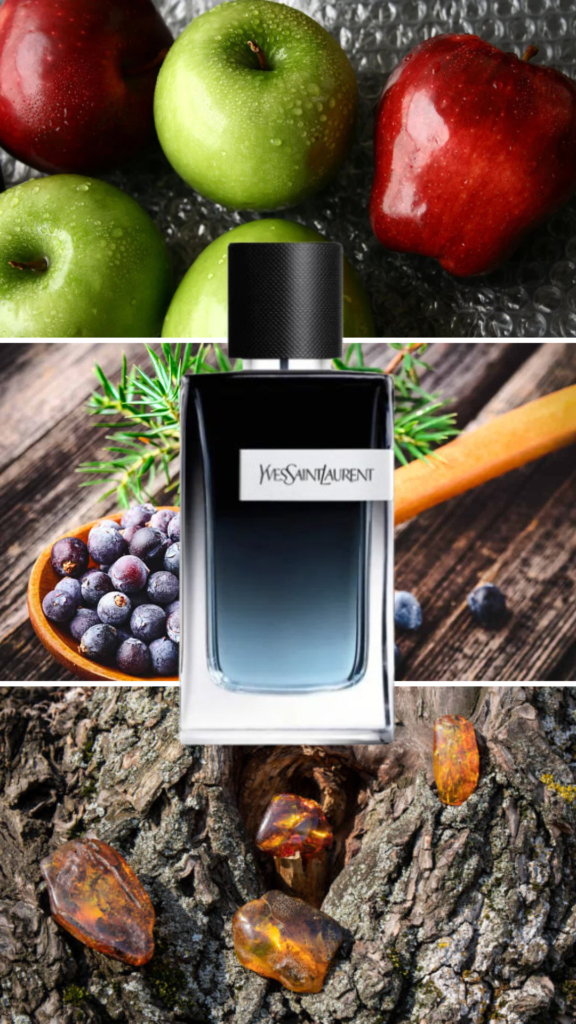 Best Yves Saint Laurent men's perfumes Yves Saint Laurent Y Eau de Parfum for men, with a modern bottle design and notes of sage, apple, and ginger for a bold, masculine scent.
