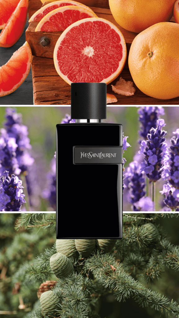 Best Yves Saint Laurent men's perfumes Yves Saint Laurent Y Le Parfum for men, an intense fragrance with grapefruit, geranium, and cedarwood notes, presented in a sleek, sophisticated bottle.